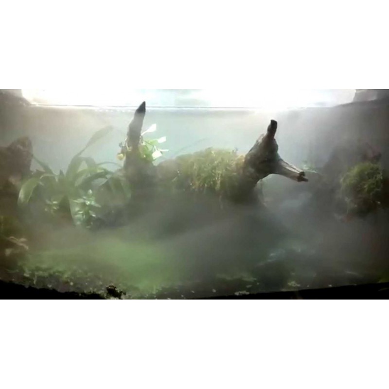 Генератор туману Repti-Zoo TerraFog (FMM01) для тераріумів
