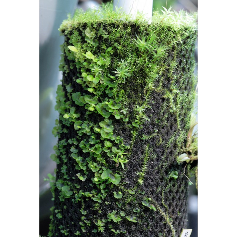 Тропічна бавовна Repti-Zoo Plant Cotton XL 59×44 см (YZM001) для моху і рослин у тераріум