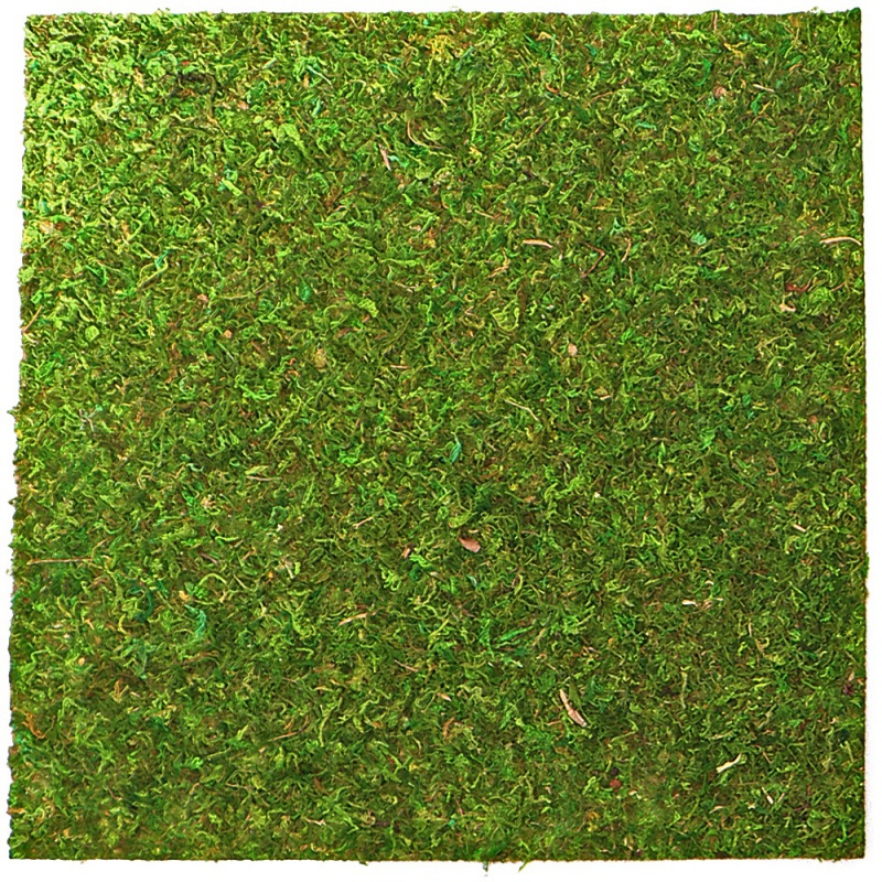 Фон з натурального моху Repti-Zoo Natural Moss Back & Bottom 20×20см 2 шт (NCM2020) для тераріуму