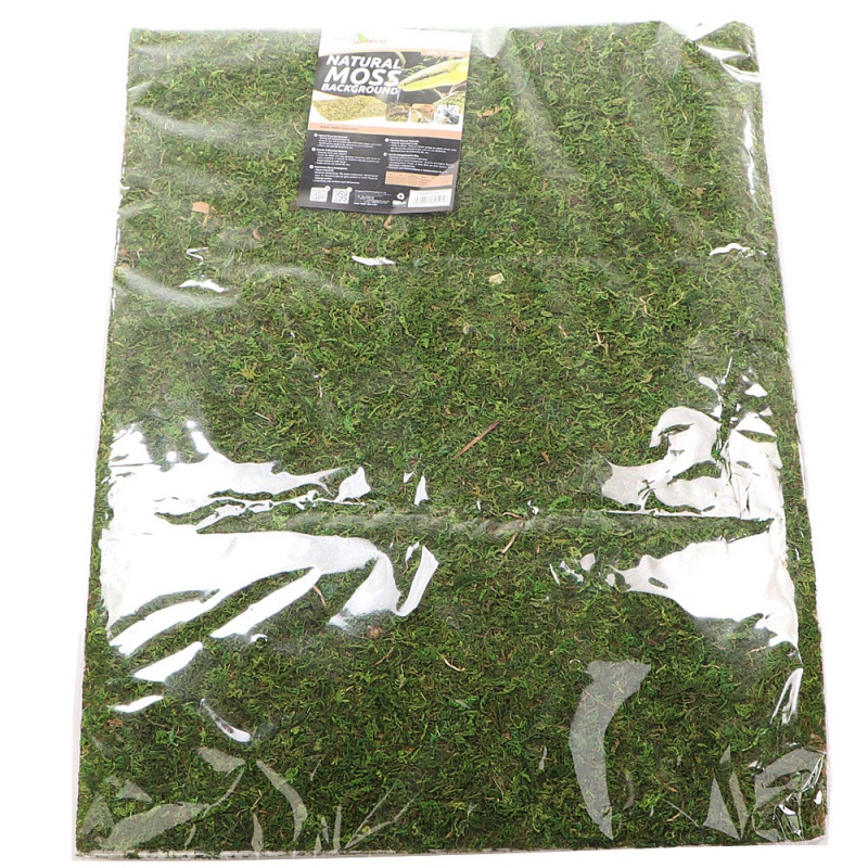Фон з натурального моху Repti-Zoo Natural Moss Back & Bottom 20x30см 2 шт (NCM3020) для тераріуму
