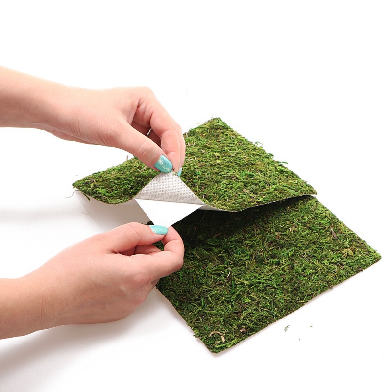 Фон з натурального моху Repti-Zoo Natural Moss Back & Bottom 20x30см 2 шт (NCM3020) для тераріуму