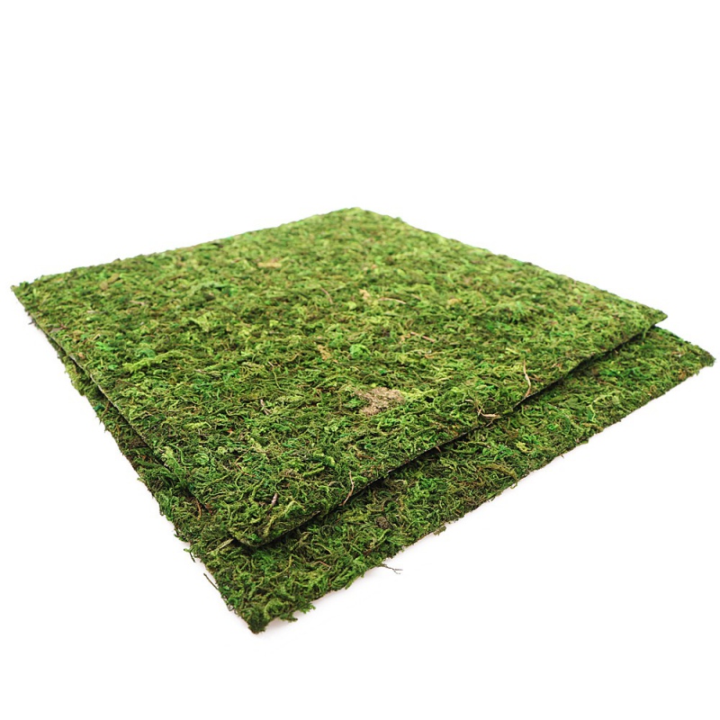 Фон з натурального моху Repti-Zoo Natural Moss Back & Bottom 30x30см 2 шт (NCM3030) для тераріуму