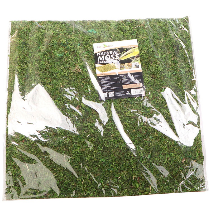 Фон з натурального моху Repti-Zoo Natural Moss Back & Bottom 45x45см 2 шт (NCM4545) для тераріуму