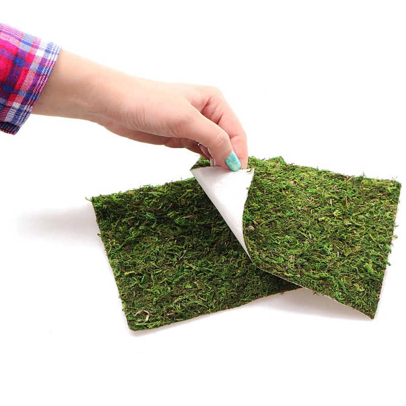 Фон з натурального моху Repti-Zoo Natural Moss Back & Bottom 45x45см 2 шт (NCM4545) для тераріуму