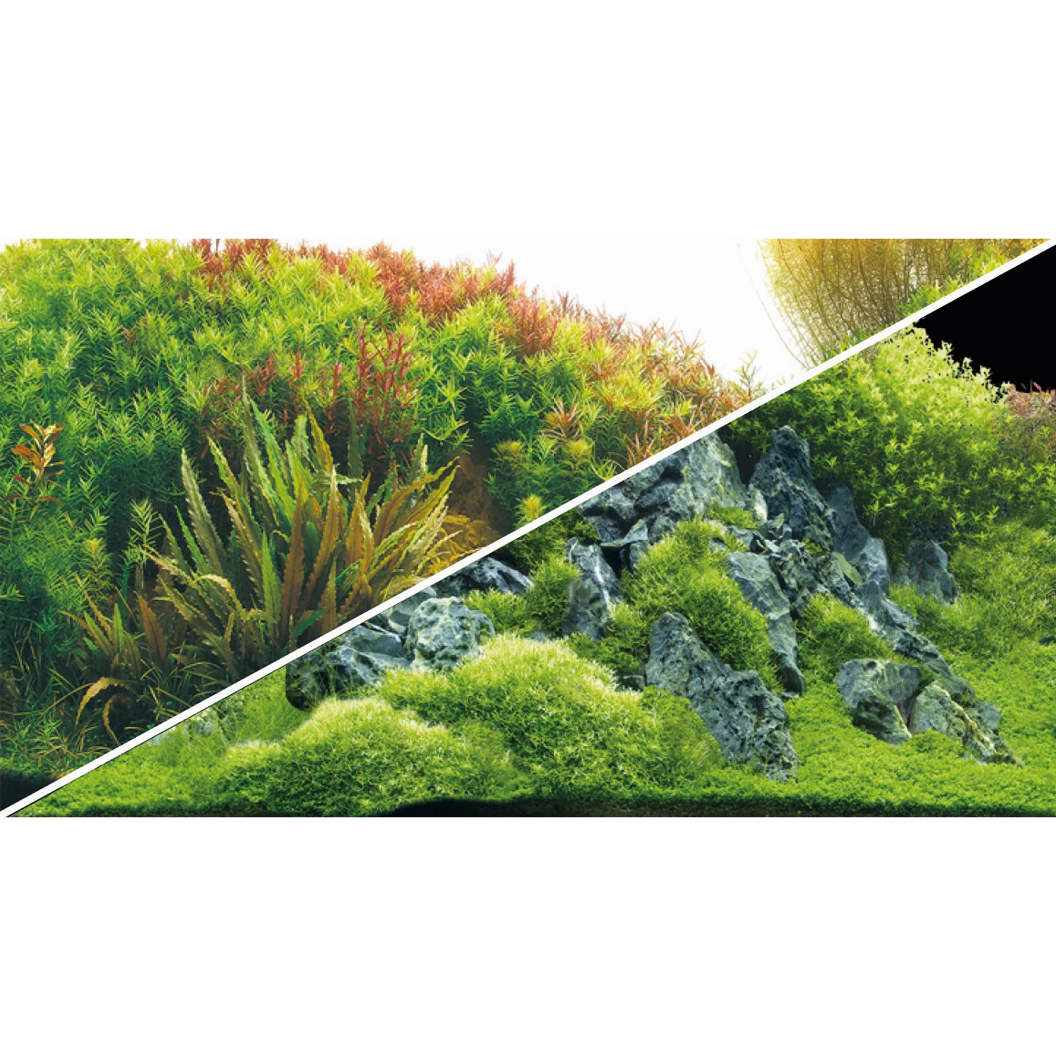 Задній фон Hobby Planted River/Green Rocks 60x30см (31043)