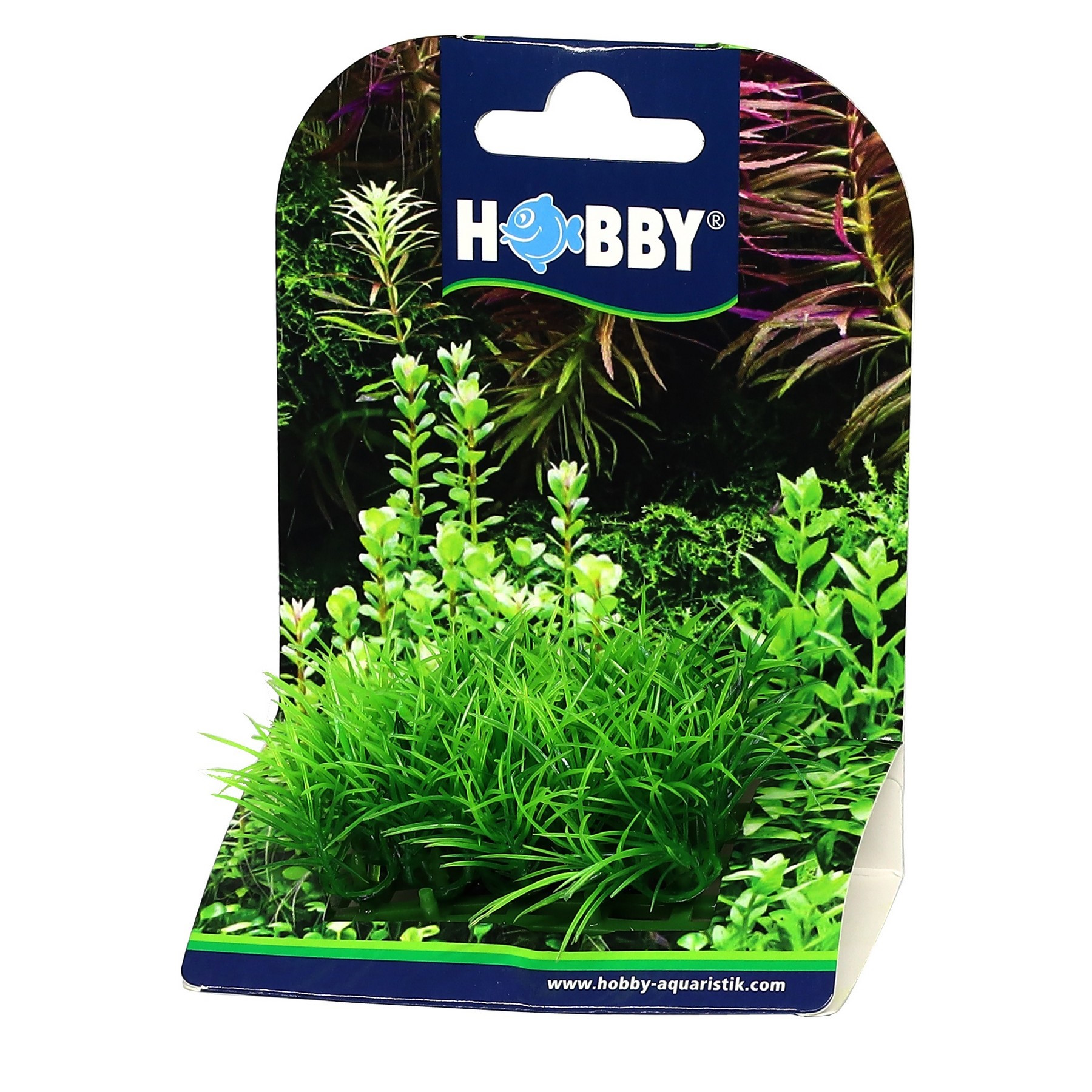 Штучна рослина Hobby Plant Pad 2 7x4,5x4,5см (51552)