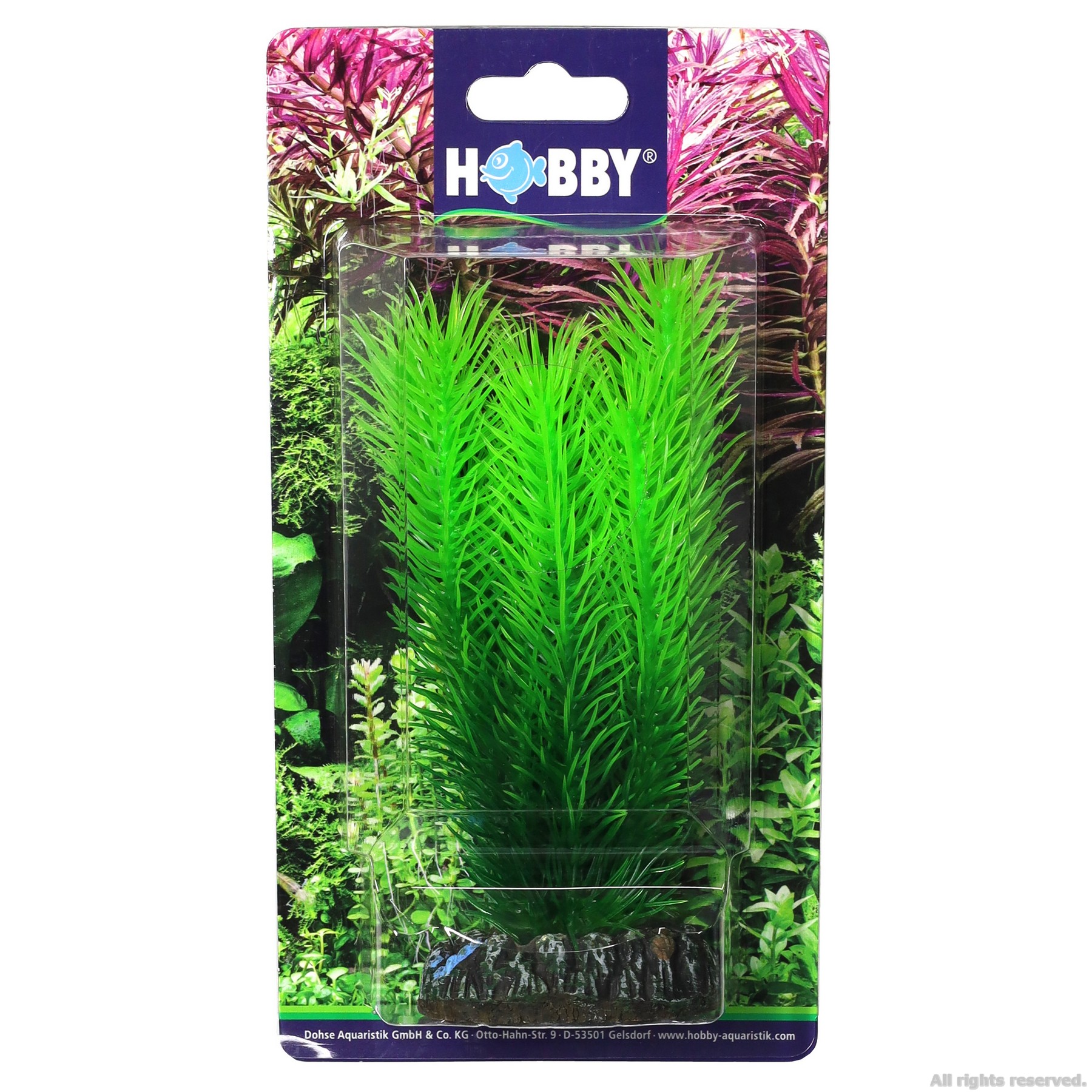 Штучна рослина Hobby Mayaca 16см (51585)