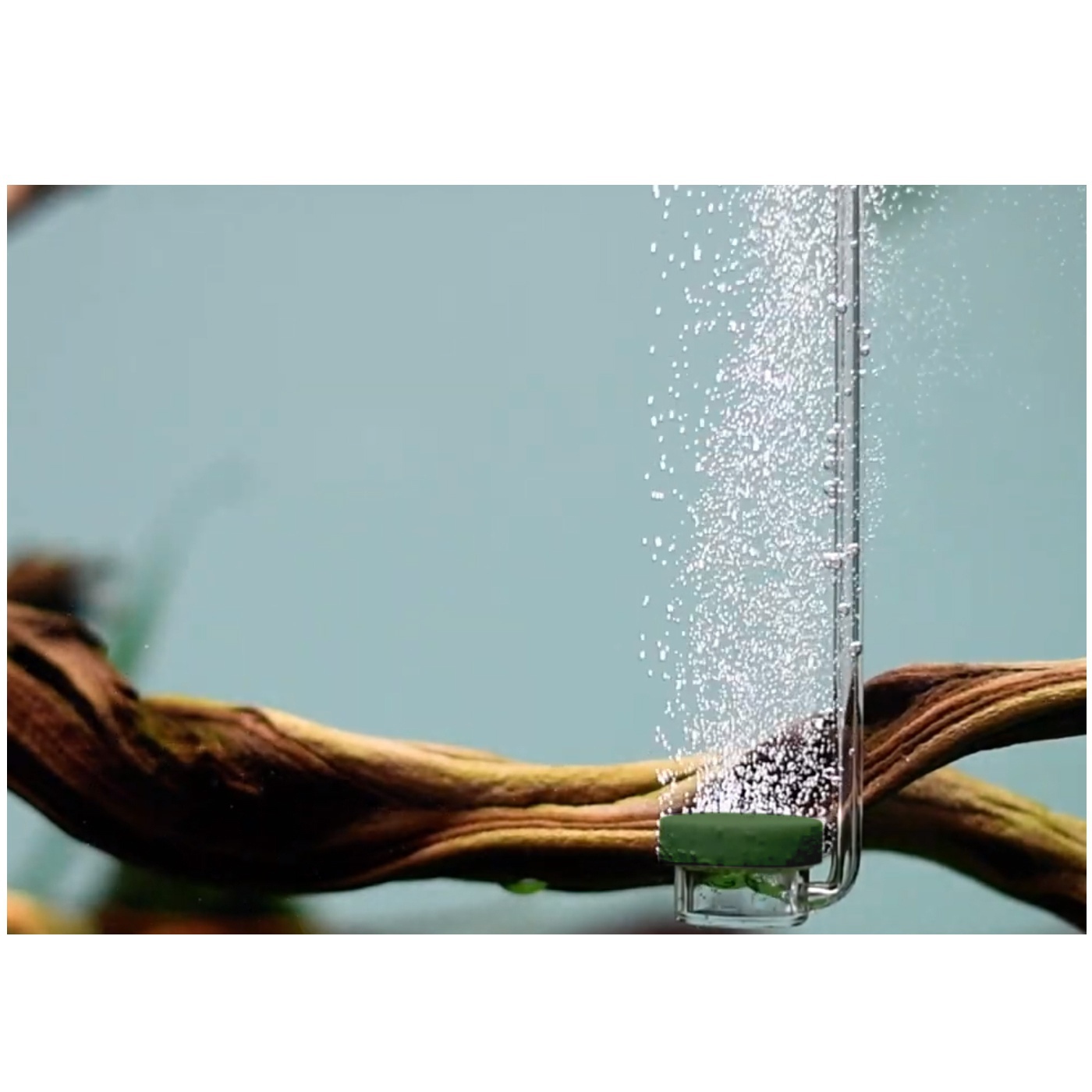 Розпилювач для компресора Aquario Neo Diffuser Special Curved Air Green L