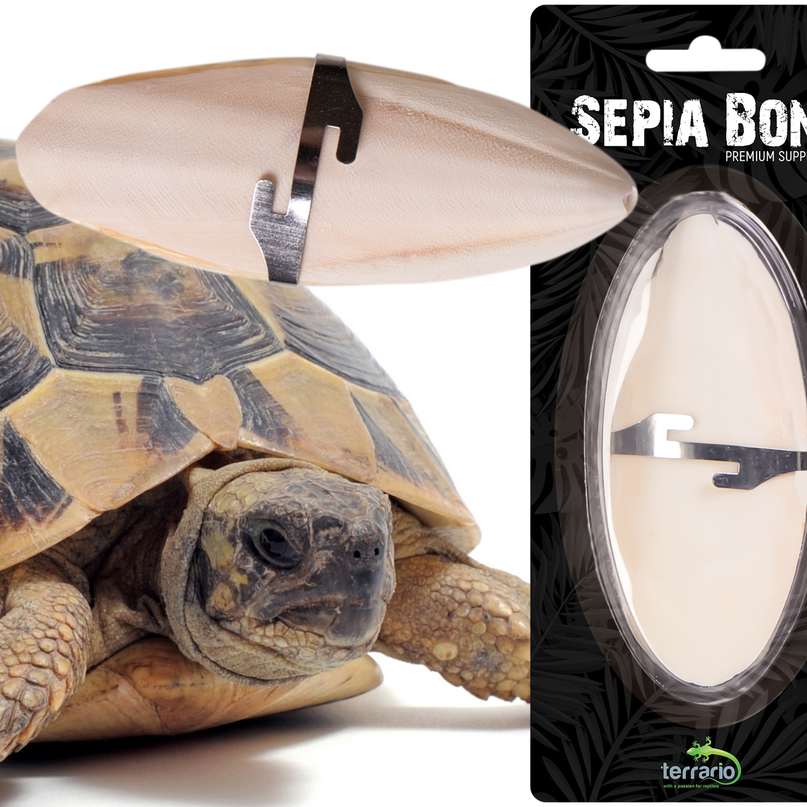 Сепія для черепах, природний вапняк для рептилій Terrario Sepia Bone 10-15см