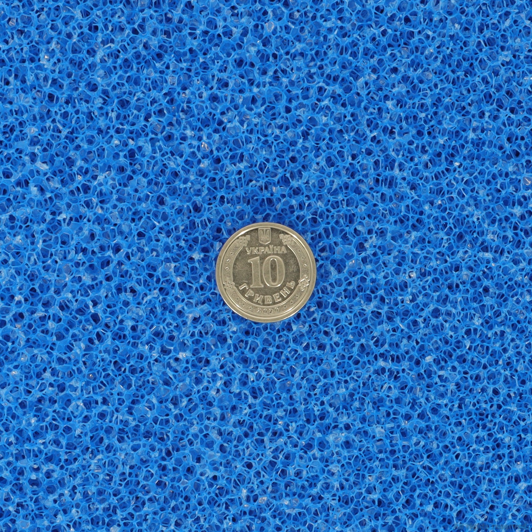 Фільтруюча губка грубої очистки Hobby Filter sponge blue ​50x50x3см ppi 10 (20475)