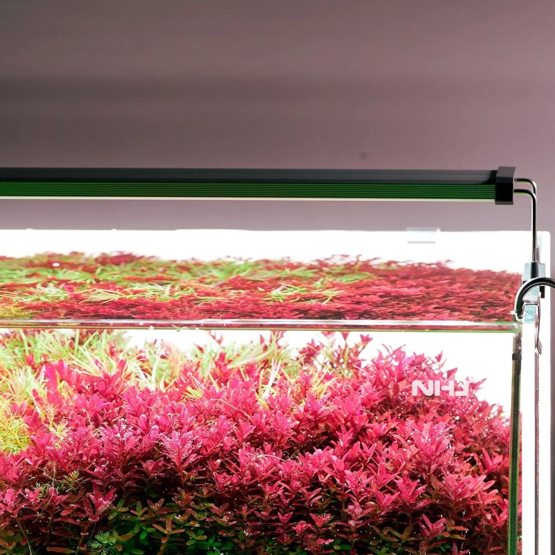 Світильник Chihiros B-Series B30 LED 30-50 см розумне RGB-освітлення для акваріума