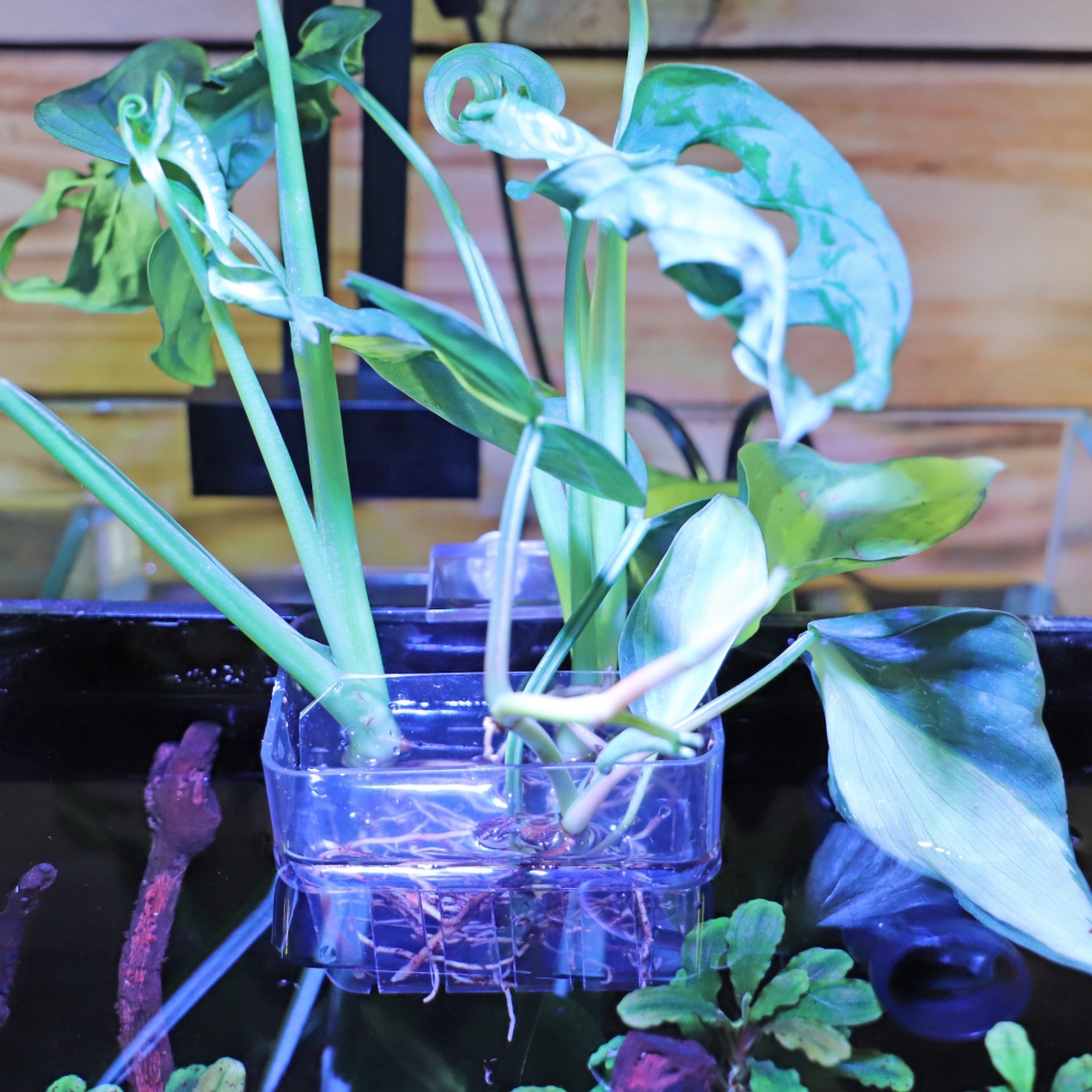 Контейнер для вирощування рослин в акваріумі Hobby Plant basket 8×9×8см (61330)