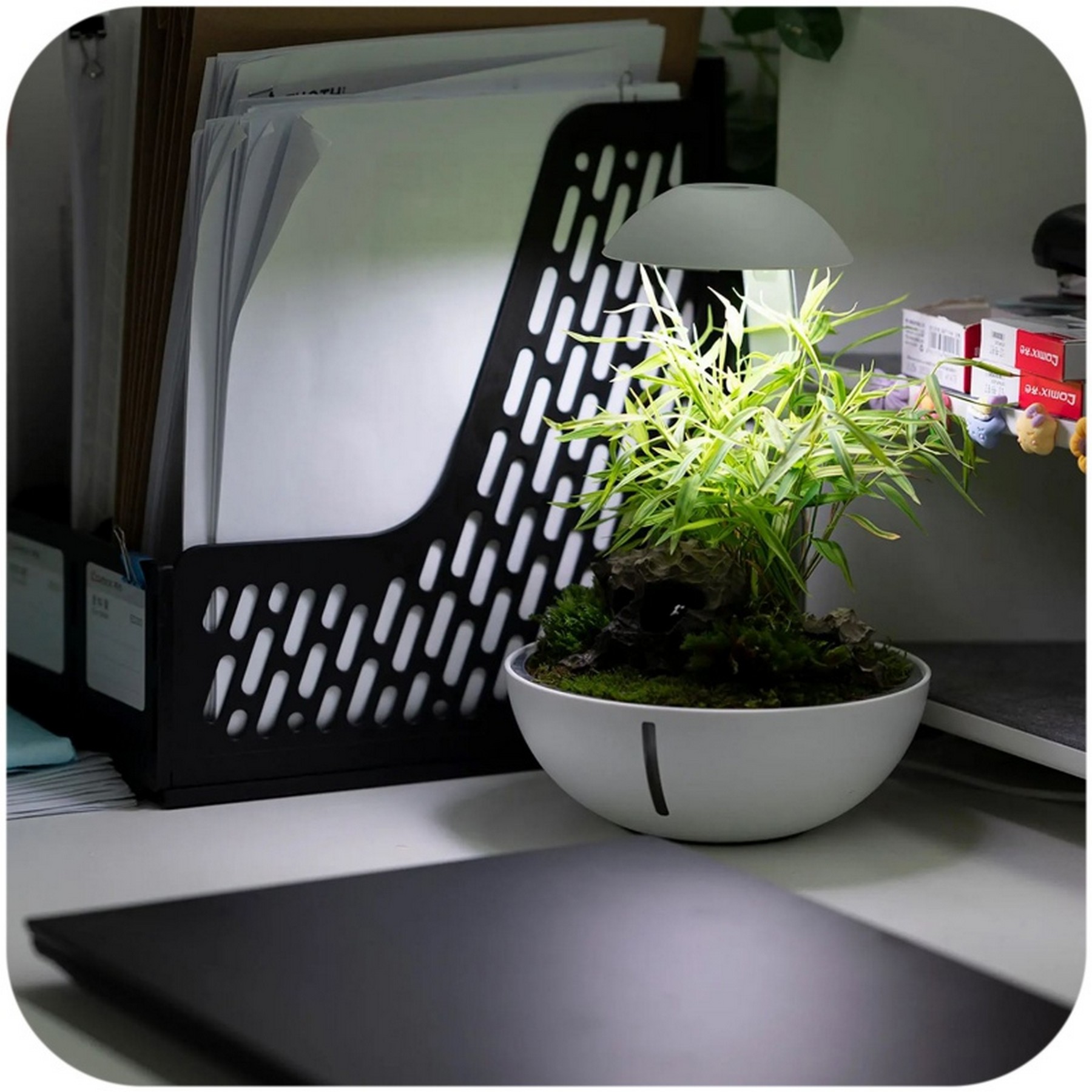 Мінітераріум Chihiros Tiny Terrarium Egg з LED-підсвіткою та керуванням через застосунок