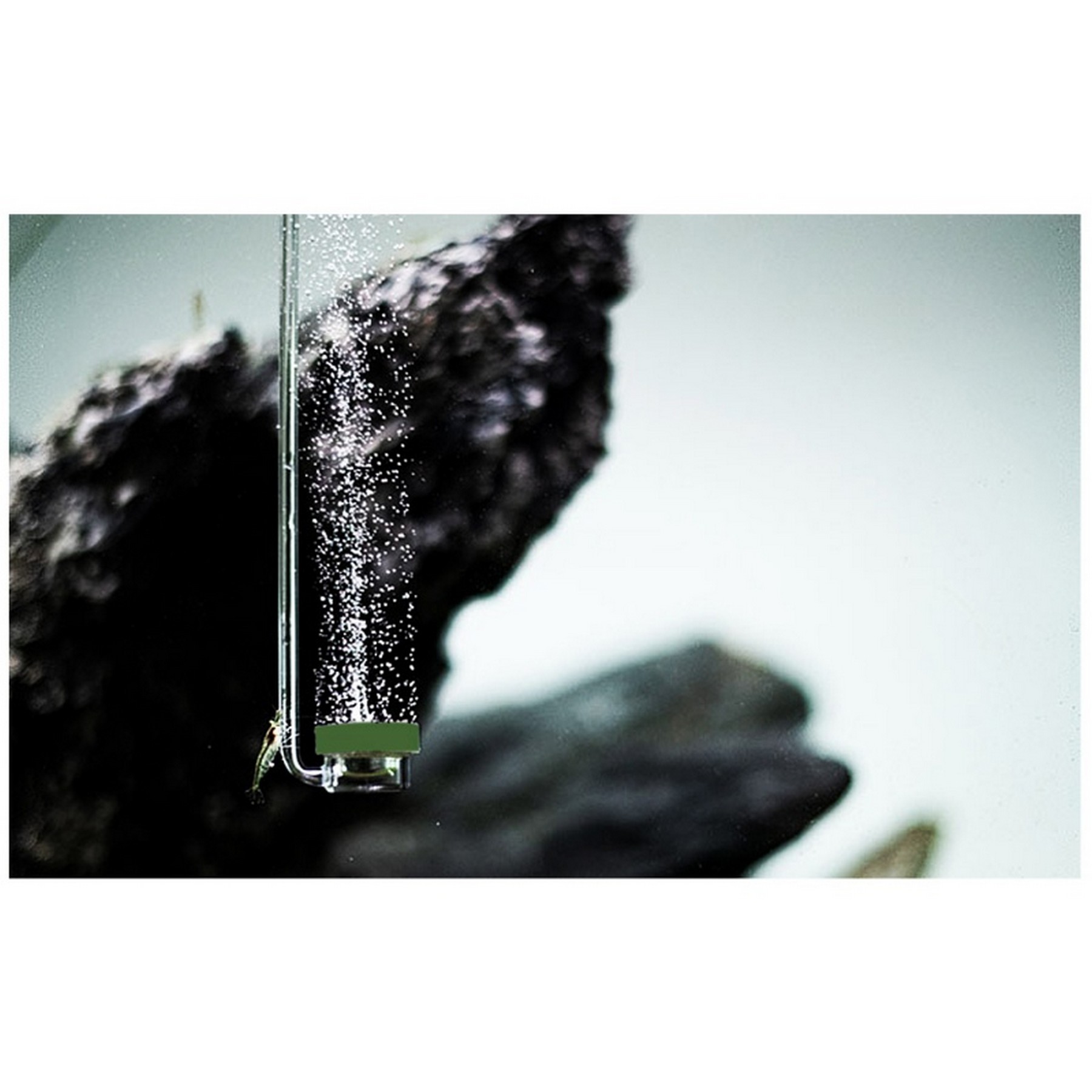 Распылитель для компрессора и CO2 Aquario Neo Diffuser Special Curved Air Green M 28 см