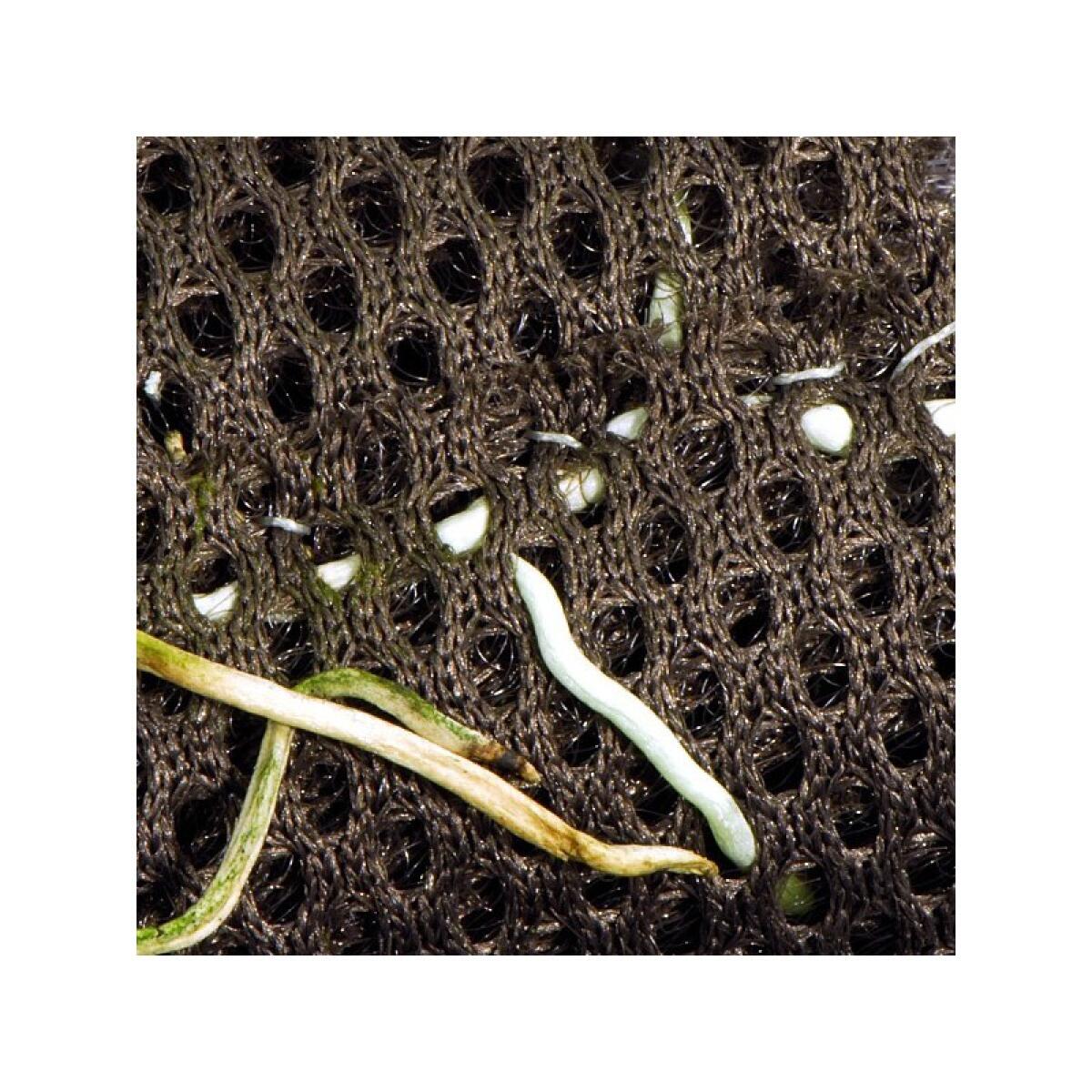 Тропічна бавовна Repti-Zoo Plant Cotton M 29х29см (YZM003) для моху і рослин у тераріум