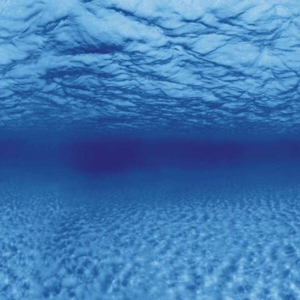 Аквариумный задний фон Aqua Nova Синее море/Камни с корягами 150x60см (TREE ROOTS/WATER XL)