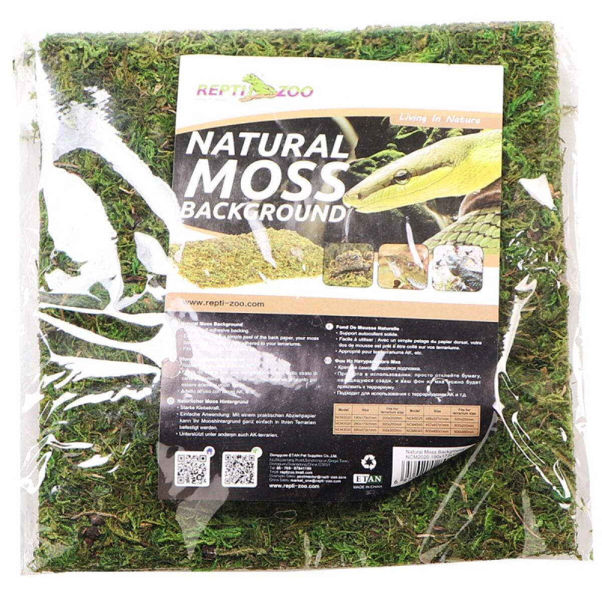 Фон з натурального моху Repti-Zoo Natural Moss Back & Bottom 20×20см 2 шт (NCM2020) для тераріуму