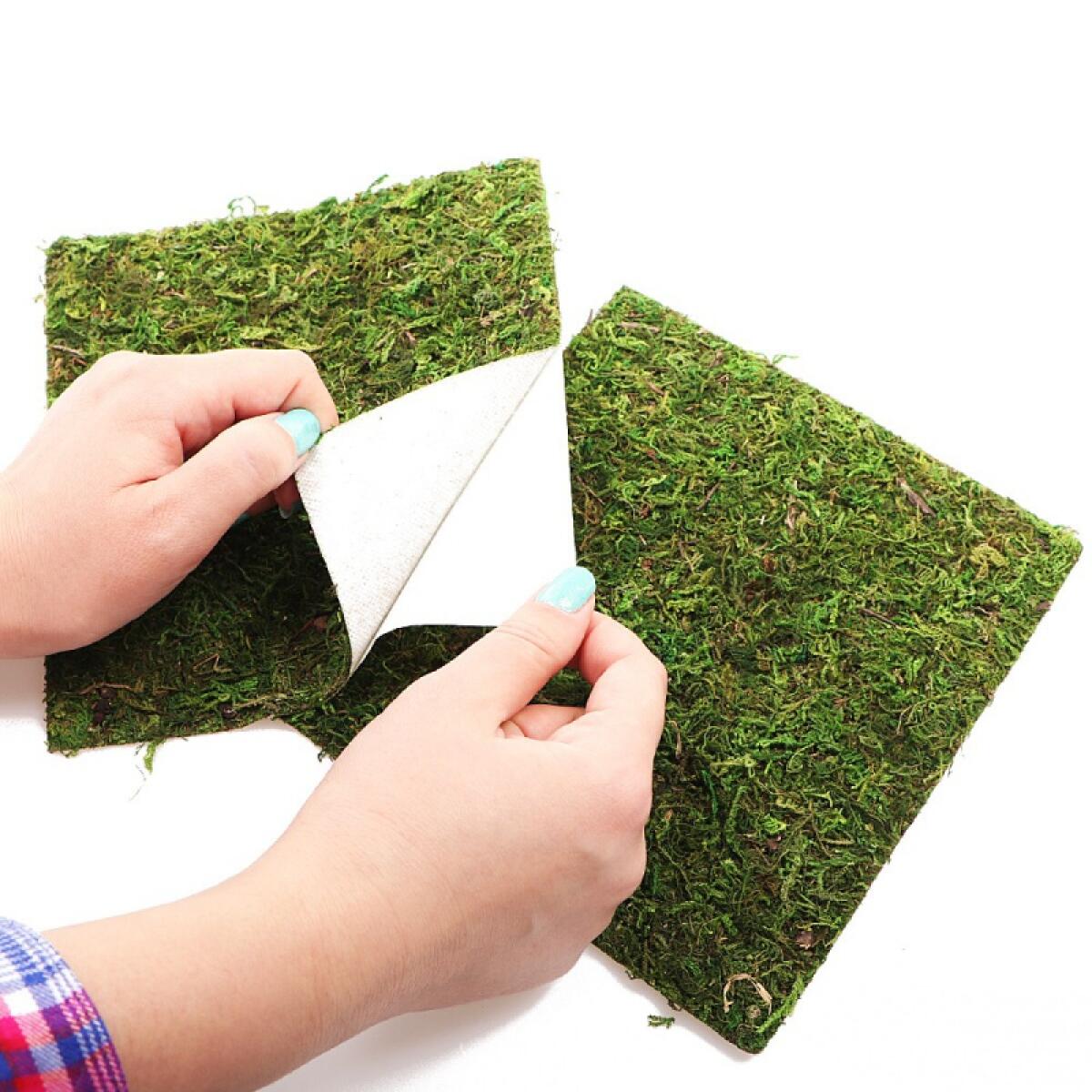 Фон з натурального моху Repti-Zoo Natural Moss Back & Bottom 20×20см 2 шт (NCM2020) для тераріуму