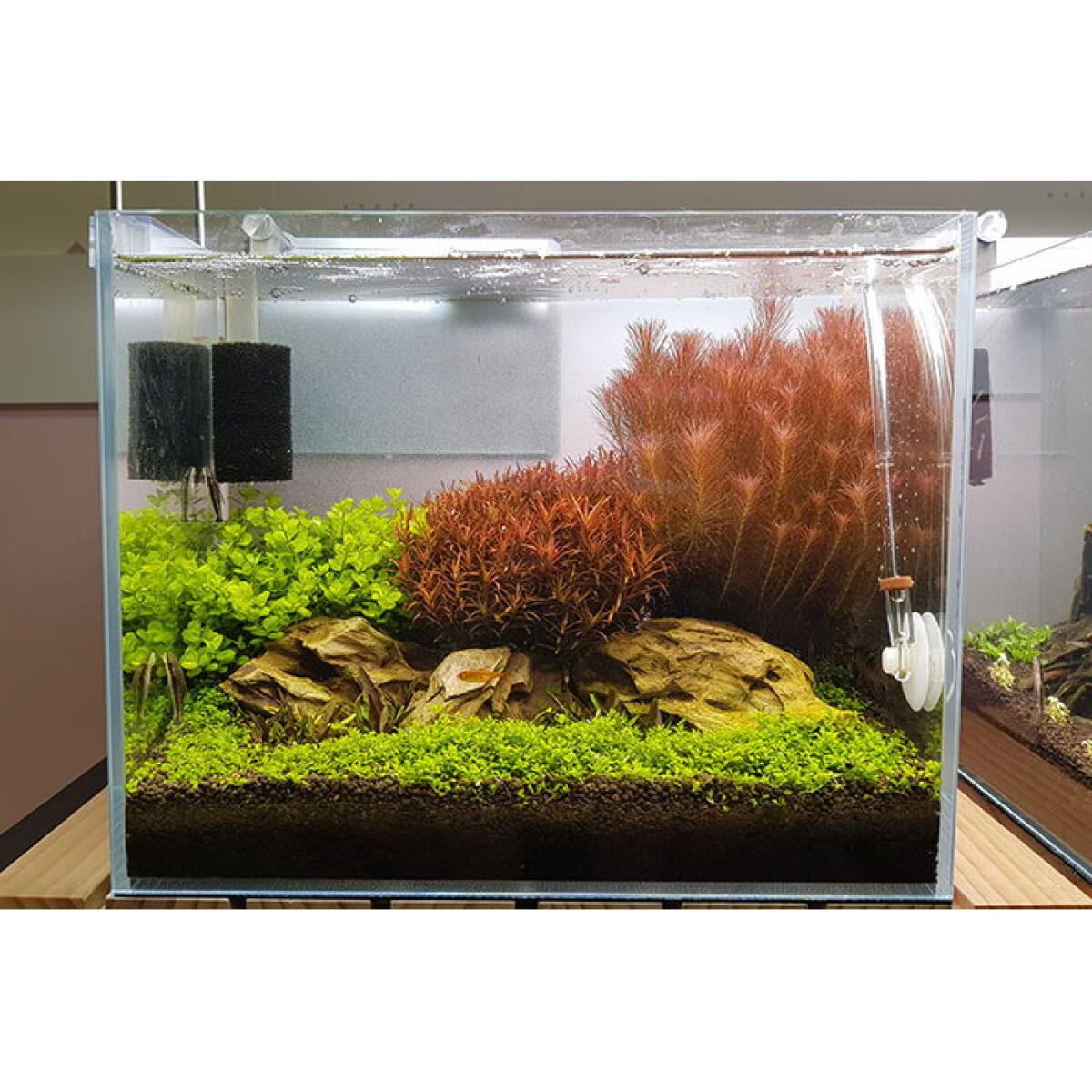 Грунт для аквариума Aquario Neo Soil Plant 8л (neo-soil-plant-8)
