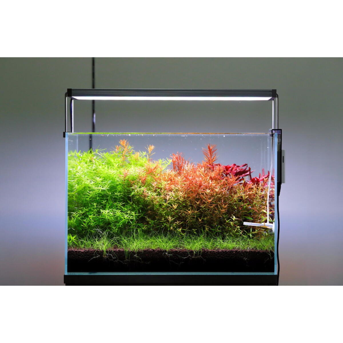 Грунт для акваріума Aquario Neo Soil Plant 3л (neo-soil-plant-3)
