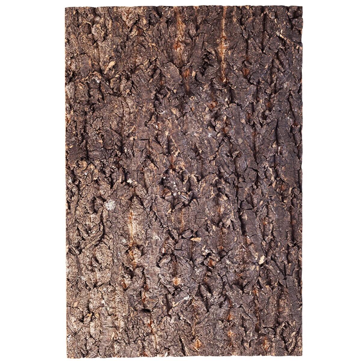 Фон з кори Repti-Zoo Big Tree Background 30x45 см (NCT02) для тераріуму