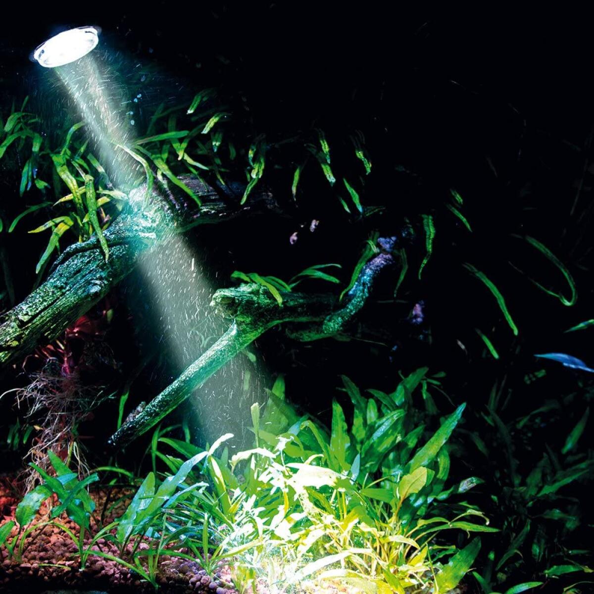 Розпилювач з LED освітленням Hobby Bubble Air Spot colour & moon (00677)