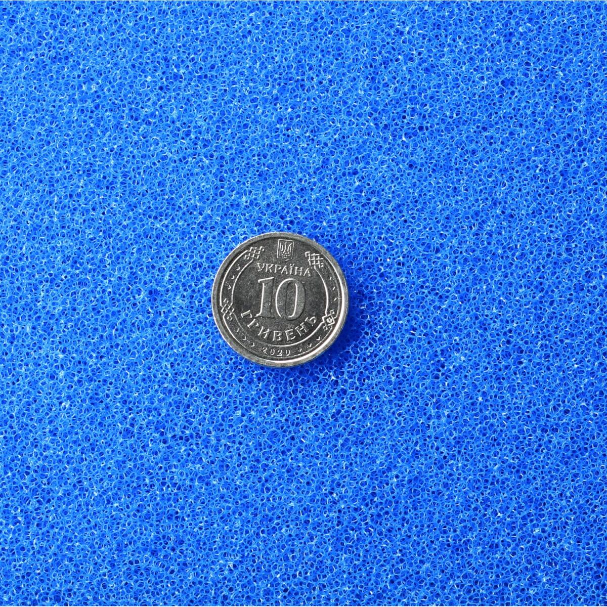 ​Фільтруюча губка тонкої очистки Hobby Filter sponge blue 50x50x5см ppi 30 (20465)