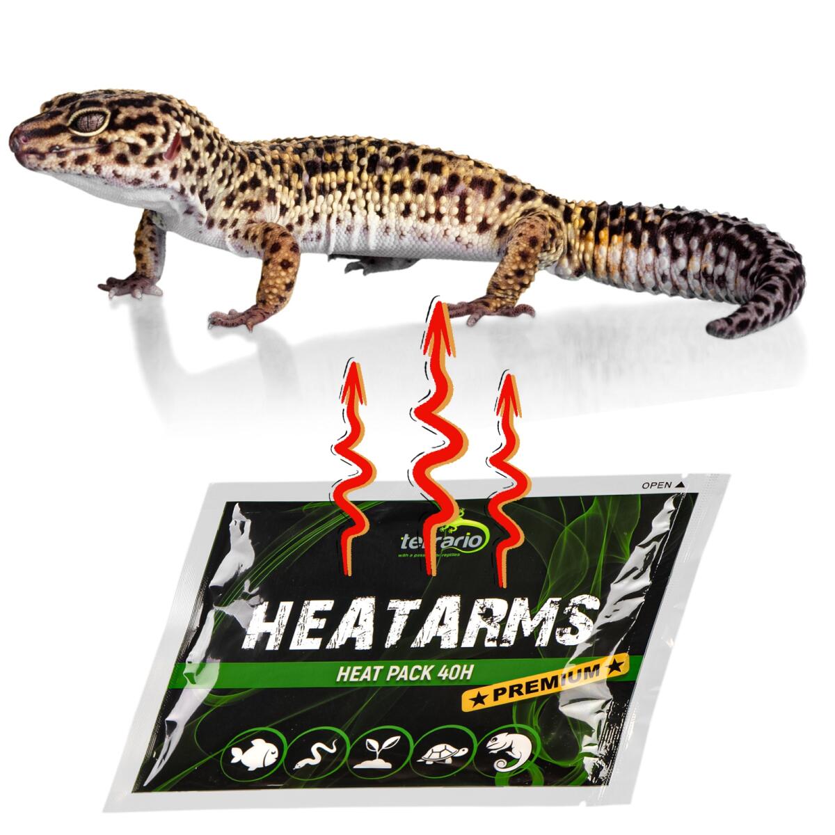 Грелка для рук и транспортировка животных Terrario Heatarms Heat Pack 40H