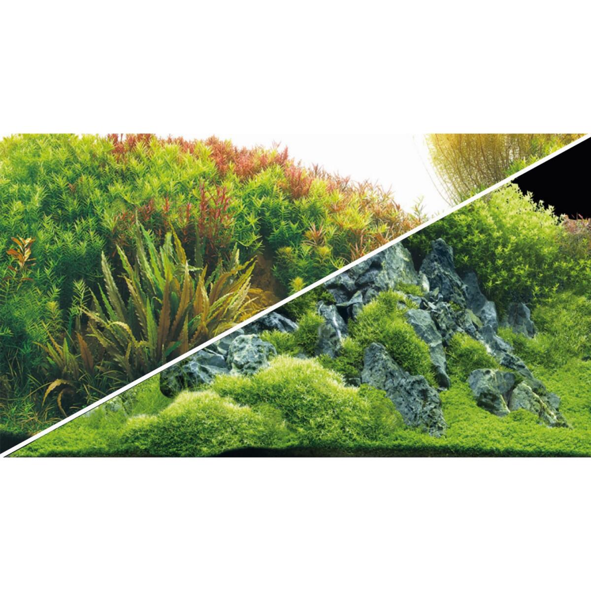 Задній фон Hobby Planted River/Green Rocks 60x30см (31043)