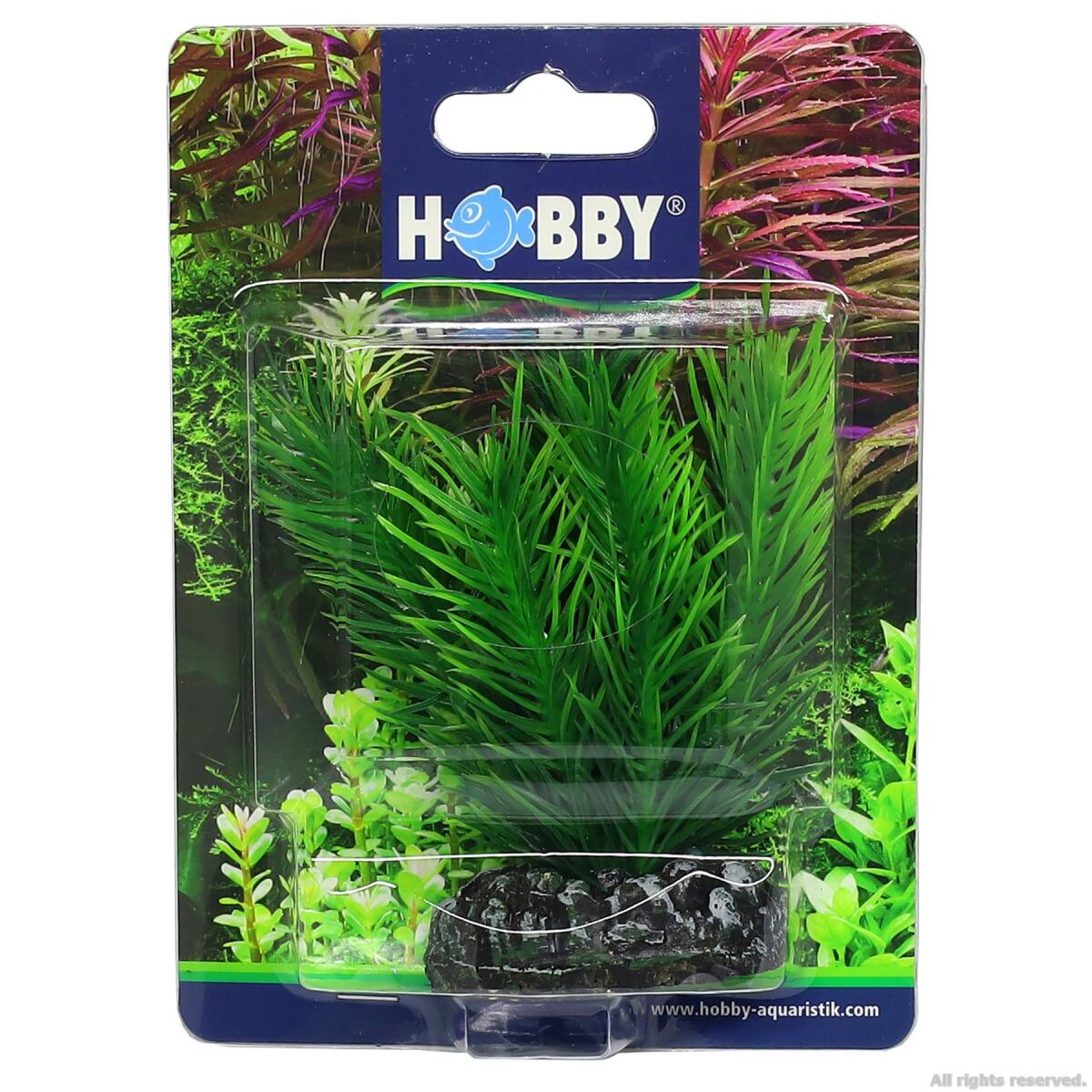 Штучна рослина Hobby Mayaca 7см (51584)