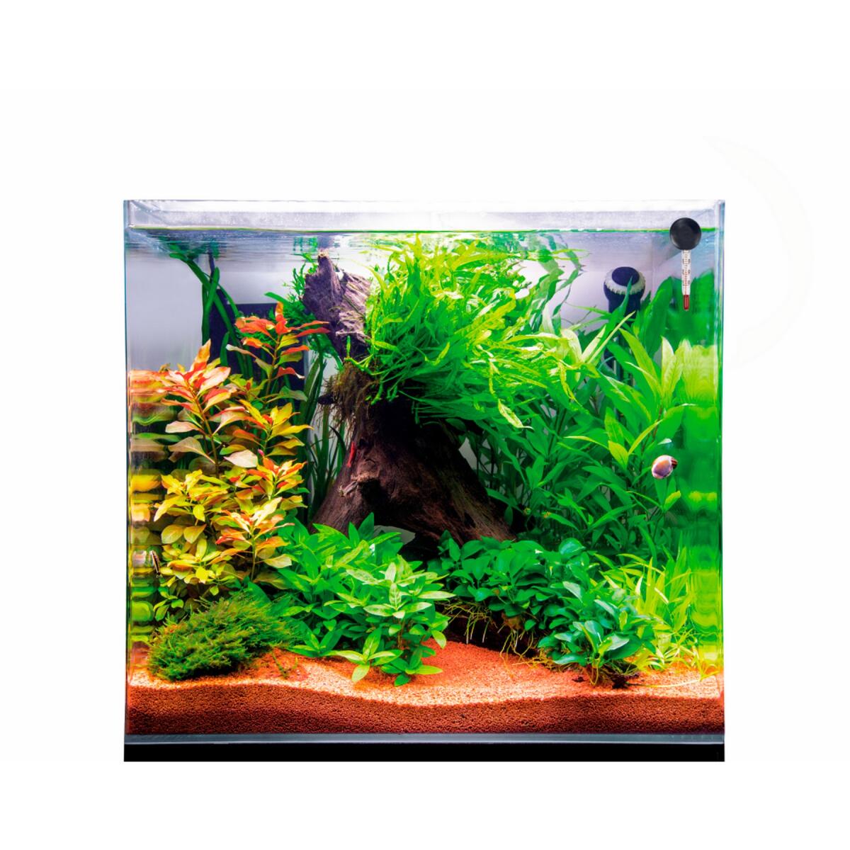 Акваріум з ультрабілого скла Dupla Scaping Cube 80 45x45x40см (80892)