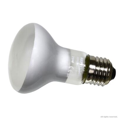 Лампа точечного нагрева Repti-Zoo Beam Spot 75W (BS63075)