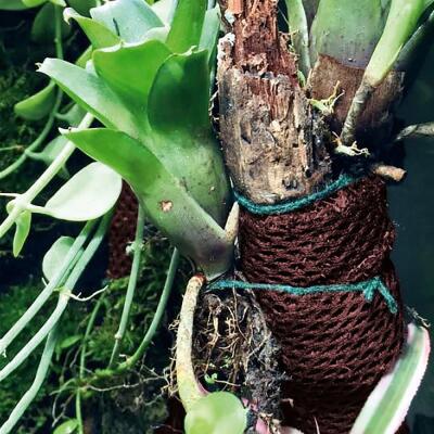 Тропічна бавовна Repti-Zoo Plant Cotton XL 59×44 см (YZM001) для моху і рослин у тераріум