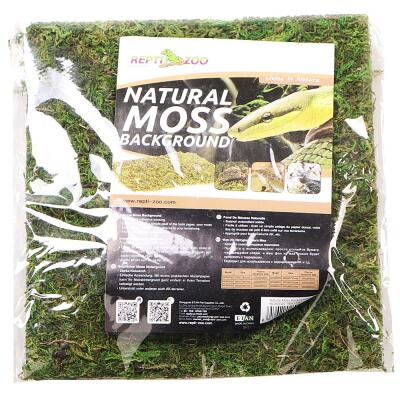 Фон з натурального моху Repti-Zoo Natural Moss Back & Bottom 20×20см 2 шт (NCM2020) для тераріуму