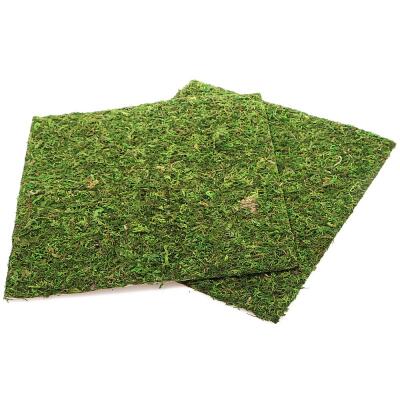 Фон з натурального моху Repti-Zoo Natural Moss Back & Bottom 30x30см 2 шт (NCM3030) для тераріуму