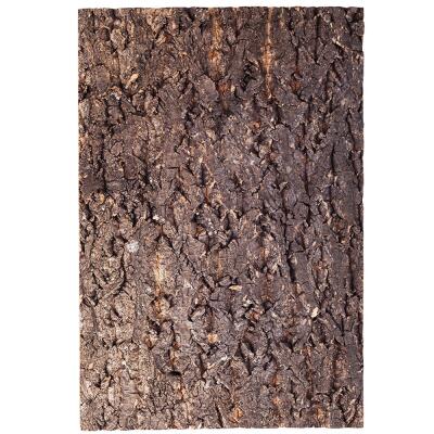 Фон з кори Repti-Zoo Big Tree Background 20×30 см (NCT13) для тераріуму