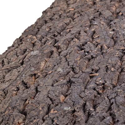 Фон з кори Repti-Zoo Big Tree Background 20×30 см (NCT13) для тераріуму