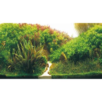 Задній фон Hobby Planted River/Green Rocks 60x30см (31043)
