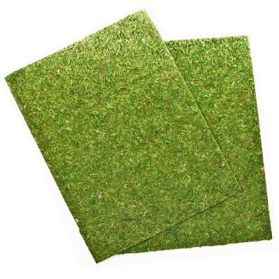 Фон з натурального моху Repti-Zoo Natural Moss Back & Bottom 50x25см 2 шт (NCM5025) для тераріуму