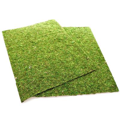 Фон з натурального моху Repti-Zoo Natural Moss Back & Bottom 50x25см 2 шт (NCM5025) для тераріуму