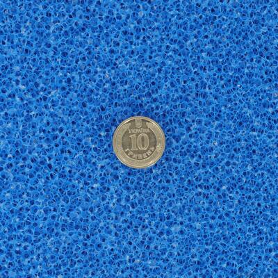 Фільтруюча губка грубої очистки Hobby Filter sponge blue ​50x50x10см ppi 10 (20485)