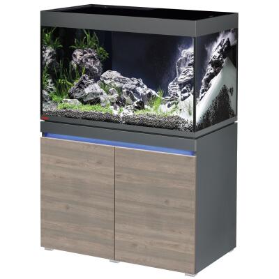 Акваріумний комплект Eheim incpiria 330 graphit/rustic oak з тумбою (0693117) під замовлення