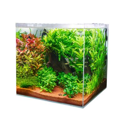 Акваріум з ультрабілого скла Dupla Scaping Cube 10 20x20x30см (80890)