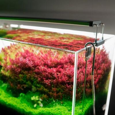Світильник Chihiros B-Series B30 LED 30-50 см розумне RGB-освітлення для акваріума