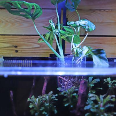 Контейнер для вирощування рослин в акваріумі Hobby Plant basket 8×9×8см (61330)