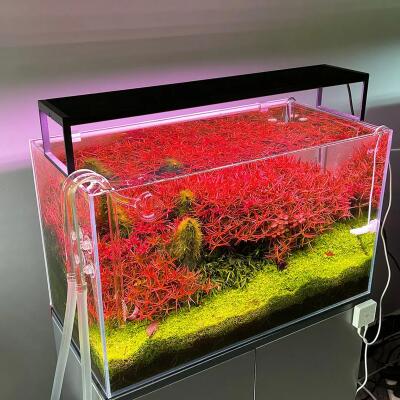 Світильник Chihiros WRGB SLIM 90 II LED Bluetooth 69W для акваріумів 90-110 см