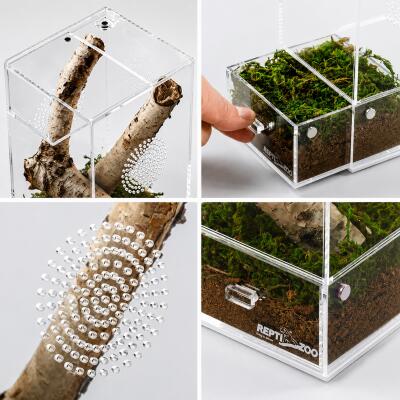 Тераріум акриловий Repti-Zoo Easy Clean Acrylic ACR46 10×10×20 см для комах, павуків